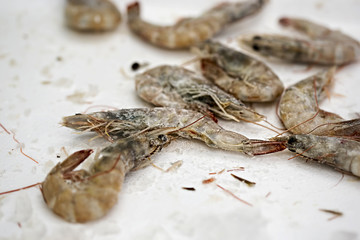 Frozen prawns on fish market 