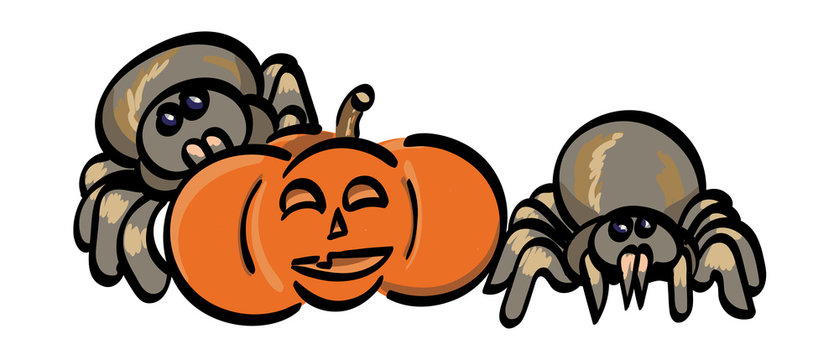 Spiders with a Jack-o-Lantern