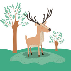 moose animal caricature in forest landscape background vector illustration