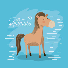 horse animal caricature in color background with lines vector illustration