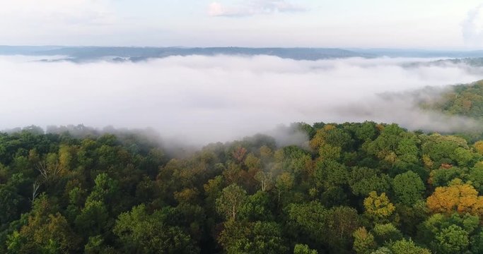An early morning foggy aerial establishing shot of a Western Pennsylvania forest.  	