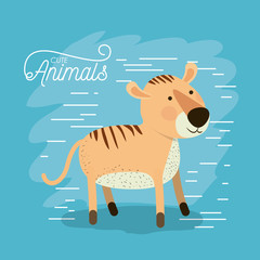 tiger animal caricature in color background with lines vector illustration