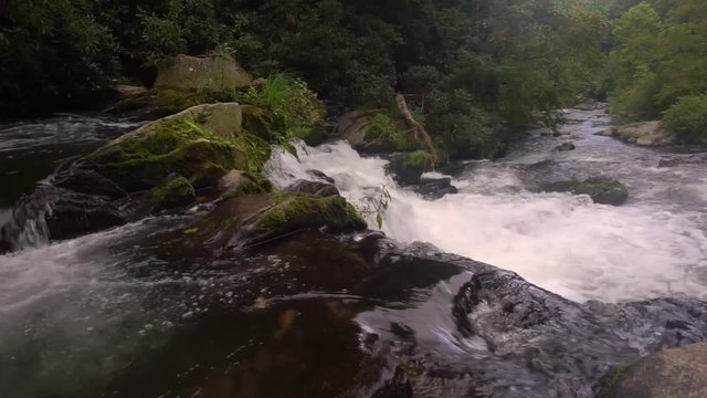 A creek in the mountains of Western North Carolina.