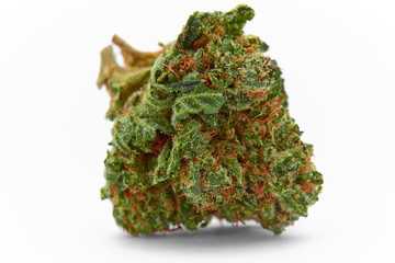 Close up of medical marijuana strain BMC House