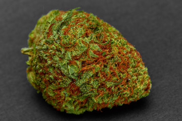 Close up of medical marijuana strain Mango Tango