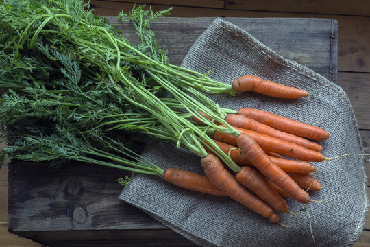 Freshly harvested carrots lying on a box