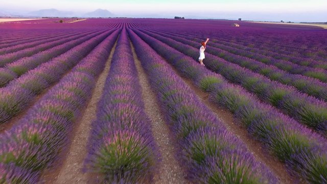 Happy Young Beautiful Woman Running Through Lavender Field. AERIAL 4K. Freedom, independence, Happiness and Youth concept. Girl dancing, enjoying nature. Plateau du Valensole, Provence, France.  