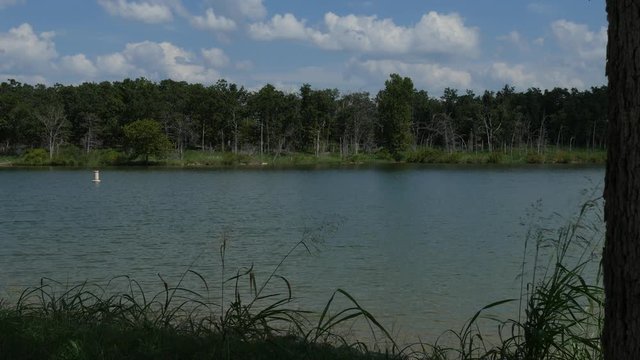 Wide steady shot of a lake with gentle breeze blowing on the leaves of trees and shrubs