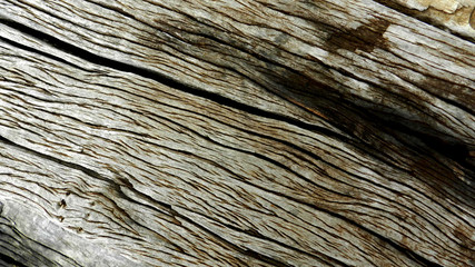 Wood texture background