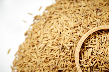 Brown paddy rice closed up