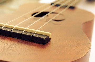 Ukulele white background