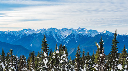 Mount Olympus In Winter, Olympic National Park
