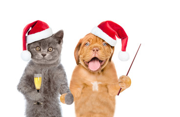 Kitten in red santa hat with a glass of champagne and puppy with pointing stick. isolated on white background
