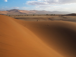 Fototapeta na wymiar Beautiful natural rusty red sand dune and salt pan of vast desert landscape copyspace with hot sunlight, Sossus, Namib desert