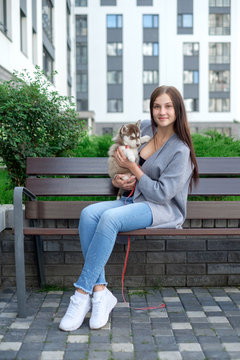 Beautiful young woman sitting on wooden bench and enjoy with her cute little husky puppy