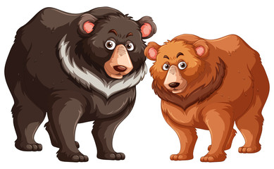 Black and brown bears
