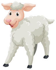 White sheep with happy face