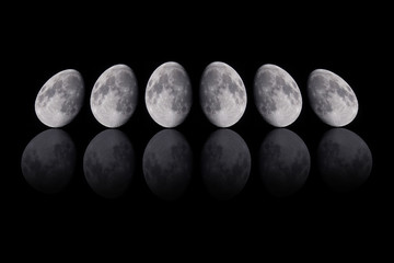 deformed moon assortment on black