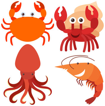 Four types of sea animals