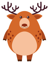 Cute deer on white background