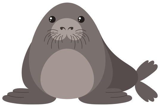 Seal with round body
