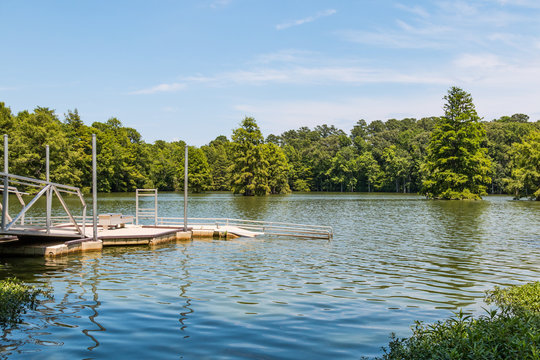 The ADA-compliant Canoe/kayak Launch Ramp At Stumpy Lake Natural Area, A 278-acre Lake In Virginia Beach, Virgnia, Surrounded By Pine And Bald Cypress Trees.  