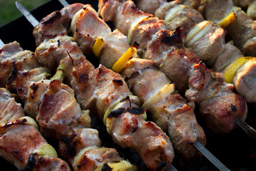 Grilled meat on a plate. Selective focus.