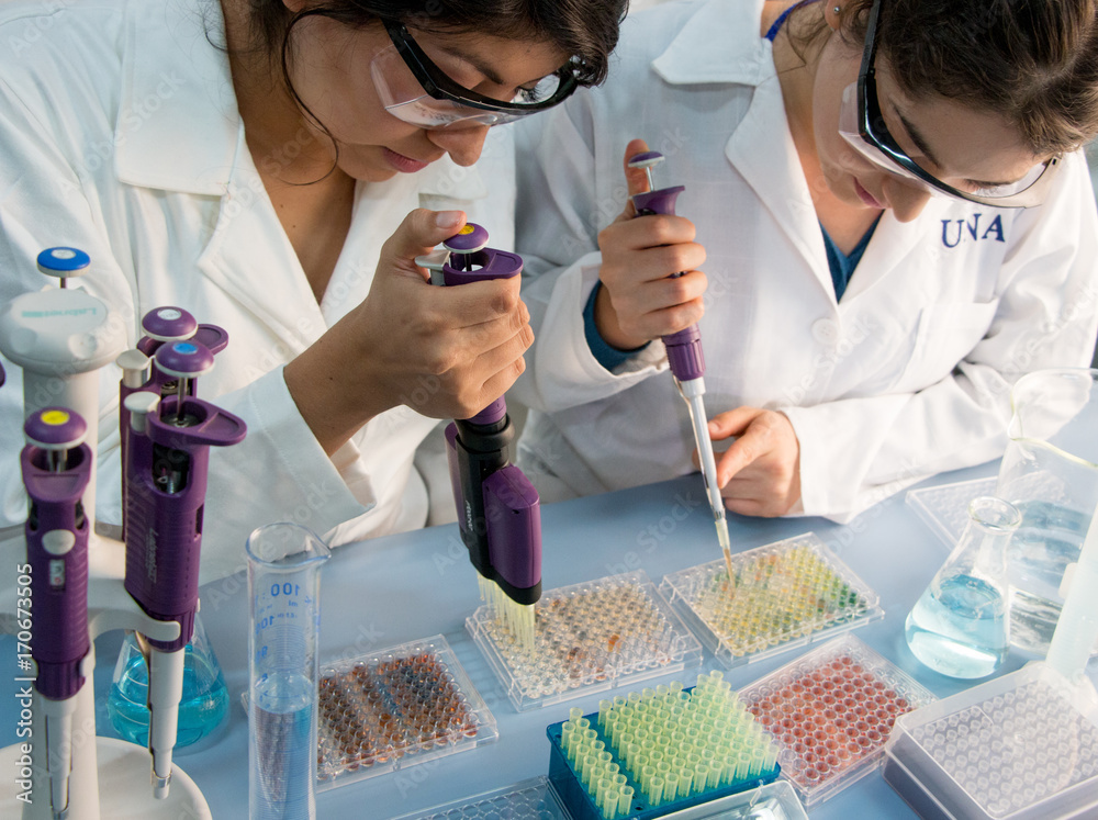 Wall mural two young scientists preparing samples for further lab analysis