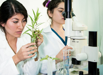 two young scientists preparing samples for further lab analysis