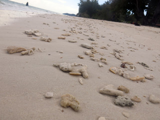 scenery of white sandy beach with coral rubble struck by slow waves on the island of Tioman, Malaysia