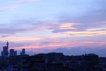 Fototapeta premium 東京から見上げた空