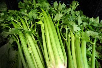Obraz premium Celery Stalks