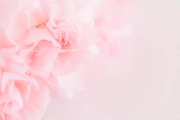 Fotobehang Woonkamer Roze anjer bloemen boeket. zacht filter.