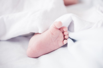 close up of new born baby feet.hight key process