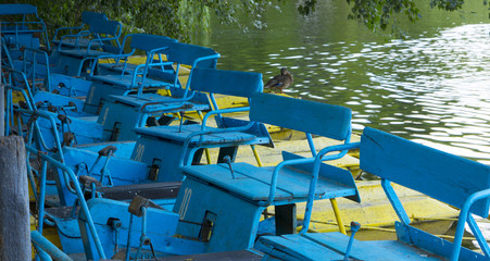 catamarans on the water parked at the shore, renting