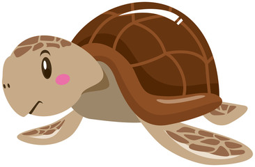 かわいいウミガメのイラスト