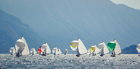 regata