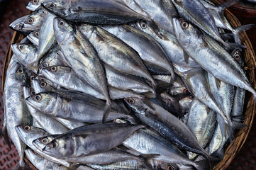 Fototapeta premium fresh fish in wicker bowl