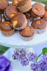 the tables with the desserts . decorated plates of cookies , biscuits. A wedding Banquet . Extra pounds and calories . Sweets of various kinds