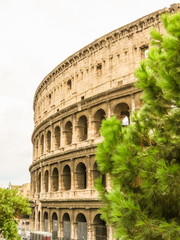 Fototapeta na wymiar Roman Colosseum, the most known sight of Rome. Rome, Italy