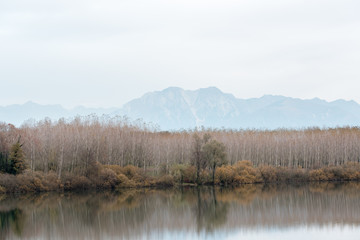 Autumn on Lake San Daniele.
