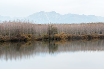 Fototapeta na wymiar Autumn on Lake San Daniele.