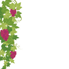 ブドウのフレーム素材