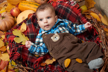 child lie on red tartan plaid with yellow autumn leaves, apples, pumpkin and decoration, fall season