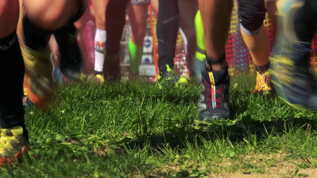 Runners runs in row to the hill in race - closeup of legs - sunny summer day 