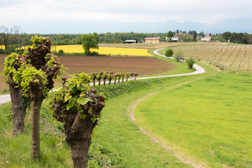 Castles and ancient churches on the Friuli hills. Journey to Arcano. Udine