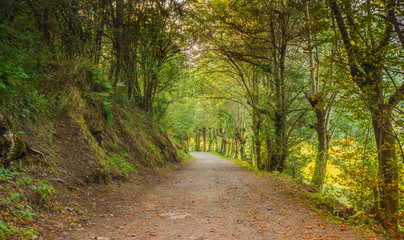 Naklejka premium Photographs of the D´Aran Valley in the Spanish Pyrenees.