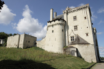 Fototapeta na wymiar Château de Montsoreau