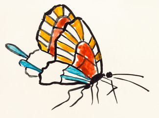 Fototapeta na wymiar butterfly with multicolor wings on colored paper