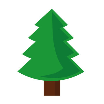 tannenbaum